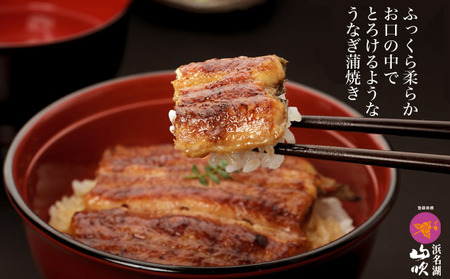 うなぎ 国産 浜名湖山吹うなぎ串蒲焼き5人前 冷蔵便お届け