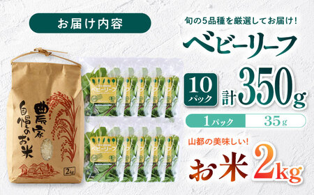 山都産ベビーリーフ350gとお米2kgのセット 産地直送 高原野菜 【株式会社 清和ミネラル会】[YBT012]