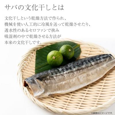 ふるさと納税 境町 【茨城県共通返礼品/神栖市】大トロ さば 文化干し 1枚真空×6パック サバ 鯖  真空パック 冷凍 |  | 01