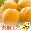 【ふるさと納税】《先行予約・期間限定》山形県産 黄桃 秀5kg(13～20玉) 【品種おまかせ】期間限定 数量限定 もも モモ フルーツ 果物 くだもの F4A-0147