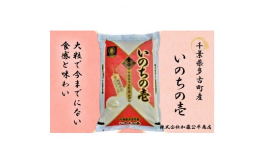 ＜令和5年産＞多古町産いのちの壱 精米5kg【1396307】