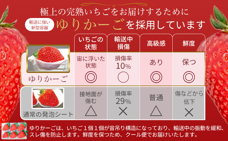 【 いちご１２月から計6回定期便 】 ◆古都華　約３００g×２パック×６回 ◆ 【今朝摘みの丸笑いちご園】 ／ フルーツ いちご 苺 イチゴ 果物 くだもの 新鮮 完熟 朝採り 高級 希少品種 甘い 
