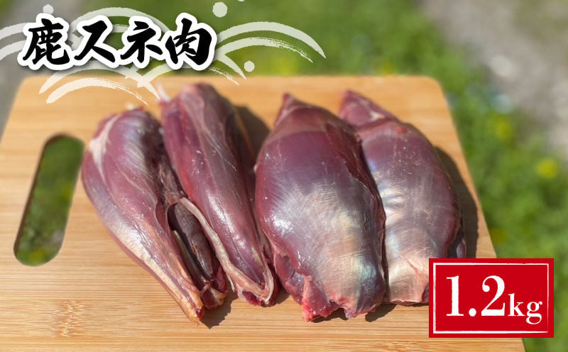 
            鹿スネ肉 1.2kg ( 鹿肉 ジビエ 冷凍 真空パック 小分け 国産 鹿肉 高タンパク 低カロリー 鉄分豊富 シチュー カレー おでん 下関 山口 肉特集 )
          