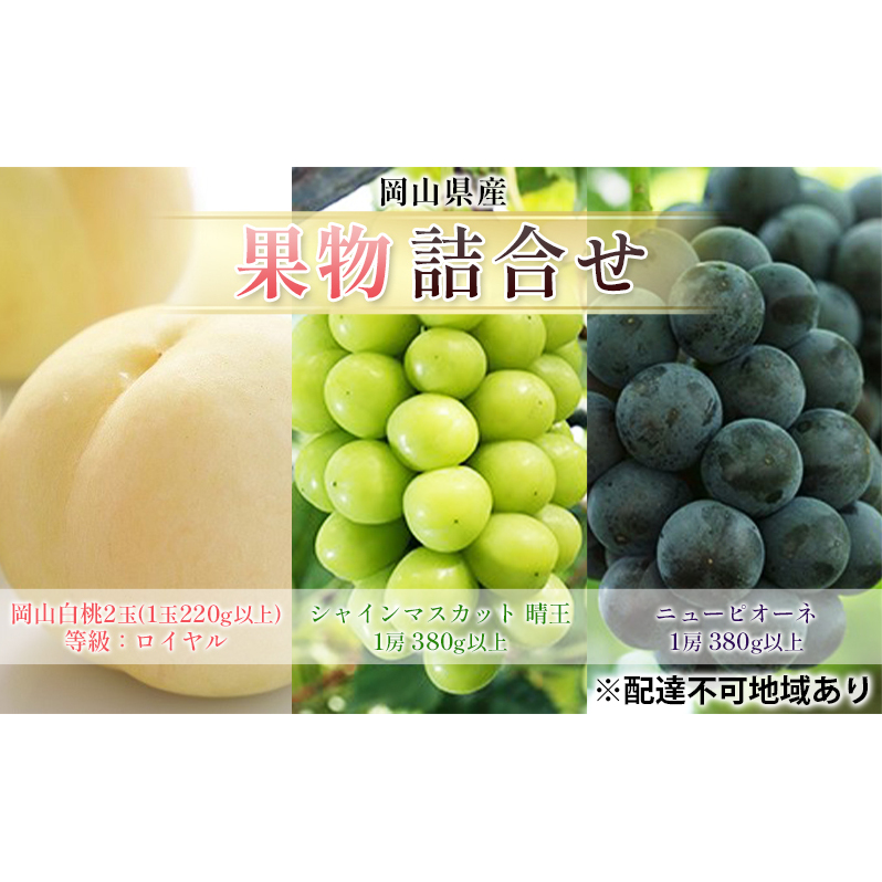 ぶどう 2025年 先行予約 果物 詰合せ 岡山 白桃 2玉 等級：ロイヤル（1玉220g以上） シャインマスカット 晴王 1房 380g以上 ニューピオーネ 1房 380g以上 もも 葡萄 岡山県産 国産 フルーツ 果物 ギフト