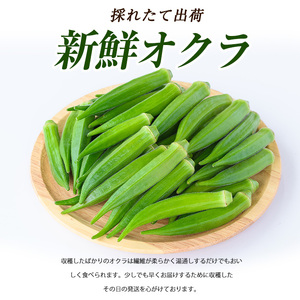 【2026年5月下旬～発送】新鮮オクラ1kg×3袋(アグリスタイル/IB066-005) 野菜 夏野菜 夏 旬 フレッシュ ベジタブル いぶすき 鹿児島