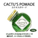 【ふるさと納税】＜大容量 180g＞美容師発案のCACTU’S POMADE（カクタスポマード）