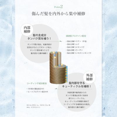 ふるさと納税 四万十市 【6回定期便】サロン・ド・オーデ ボンドリペア シャンプー&トリートメント(各500ml)2点セット |  | 02