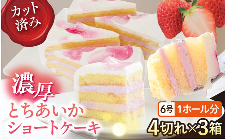 ドルチェケーキ とちあいかショート ケーキ 計12個（4個×3箱）【ファミール製菓株式会社】 [AKCI022]