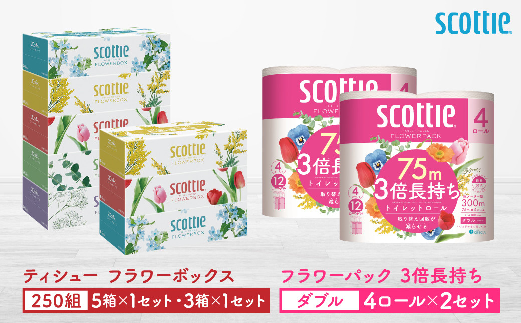 
            【スコッティ】ティシュー フラワーボックス 250組（5箱パック×1セット・3箱パック×1セット）＋フラワーパック 3倍長持ち（4ロール(ダブル)パック×2セット）ティッシュ トイレットペーパー 日用品
          