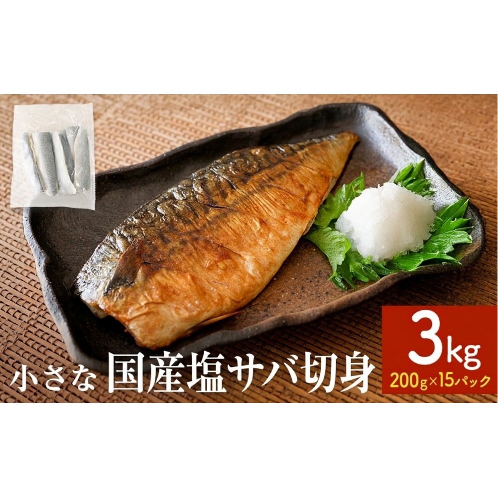 小さな 国産 塩サバ 切身 3kg ( 200g × 15パック ) 冷凍 サバ 鯖 魚 青魚 塩さば 切り身 ご家庭用 焼き魚 焼魚 おかず お弁当 焼くだけ 簡単調理 サバ フィレ 鯖フィレ サバフィーレ 切身 宮城県 石巻 石巻市