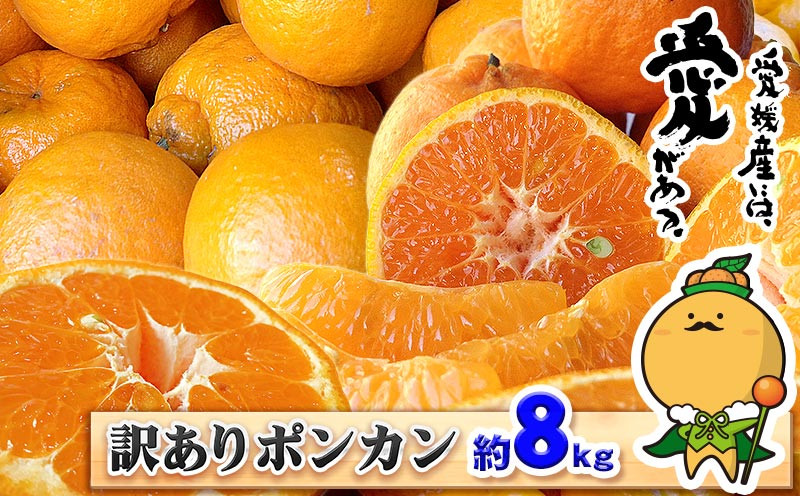 
                  訳あり ポンカン 8kg 先行予約 中井屋 愛媛みかん 愛媛ミカン 愛媛蜜柑 愛媛県産 訳アリ 訳あり品 訳有り わけあり みかん 果物 くだもの フルーツ 柑橘 人気 蜜柑 mikan 愛媛県産みかん 愛媛蜜柑 ぽんかん 甘い ジュージー 数量限定 産地直送 国産 愛媛 宇和島 B010-173003
                