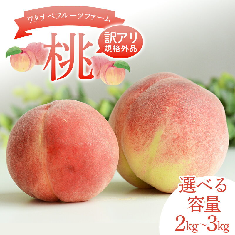 【ふるさと納税】＼選べる容量／【訳アリ規格外品】ワタナベフルーツファームの桃 約2kg （6～7玉） 約3kg （7～11玉） もも モモ フルーツ 果物 F6Q-520var