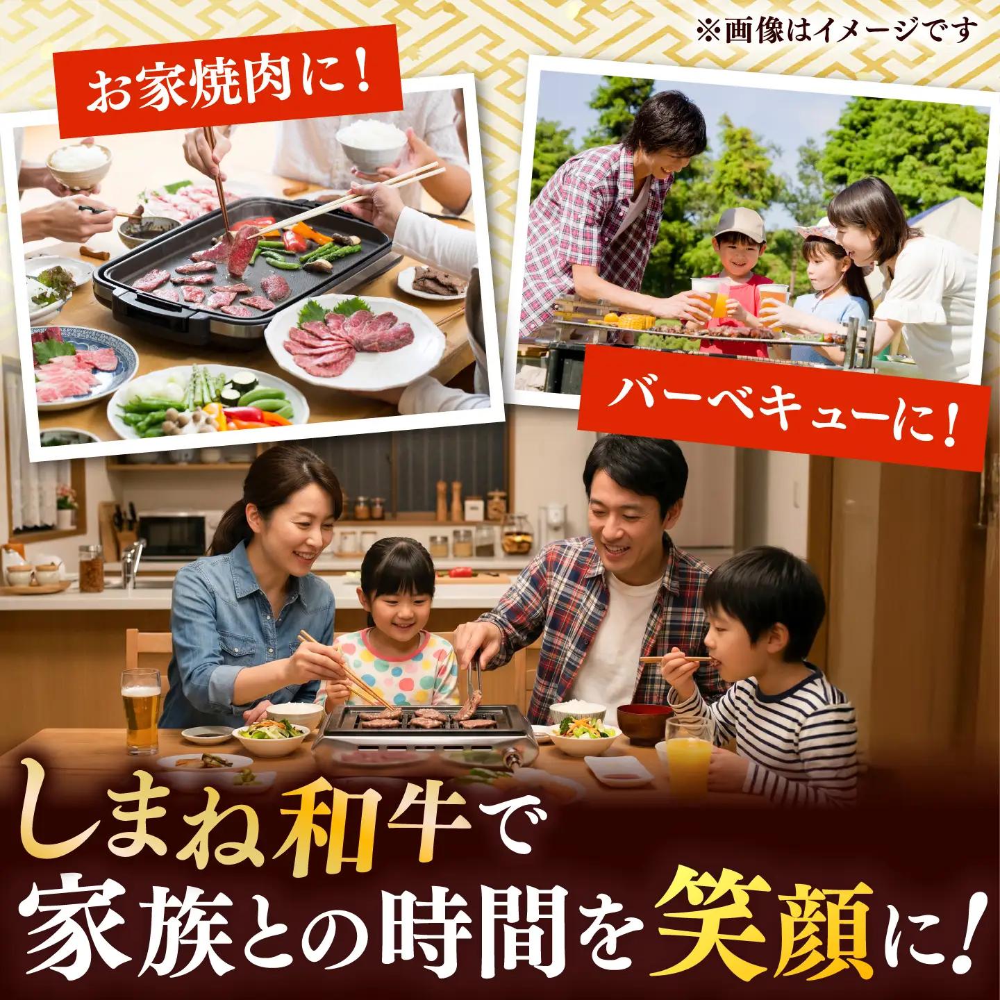 しまね和牛 焼肉セット 900g 肩ロース・カルビ・モモ [AIDI024] 焼肉セット