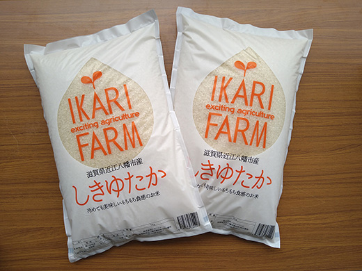 【新米】【7年産】すっごいもちもち 「しきゆたか」 白米
