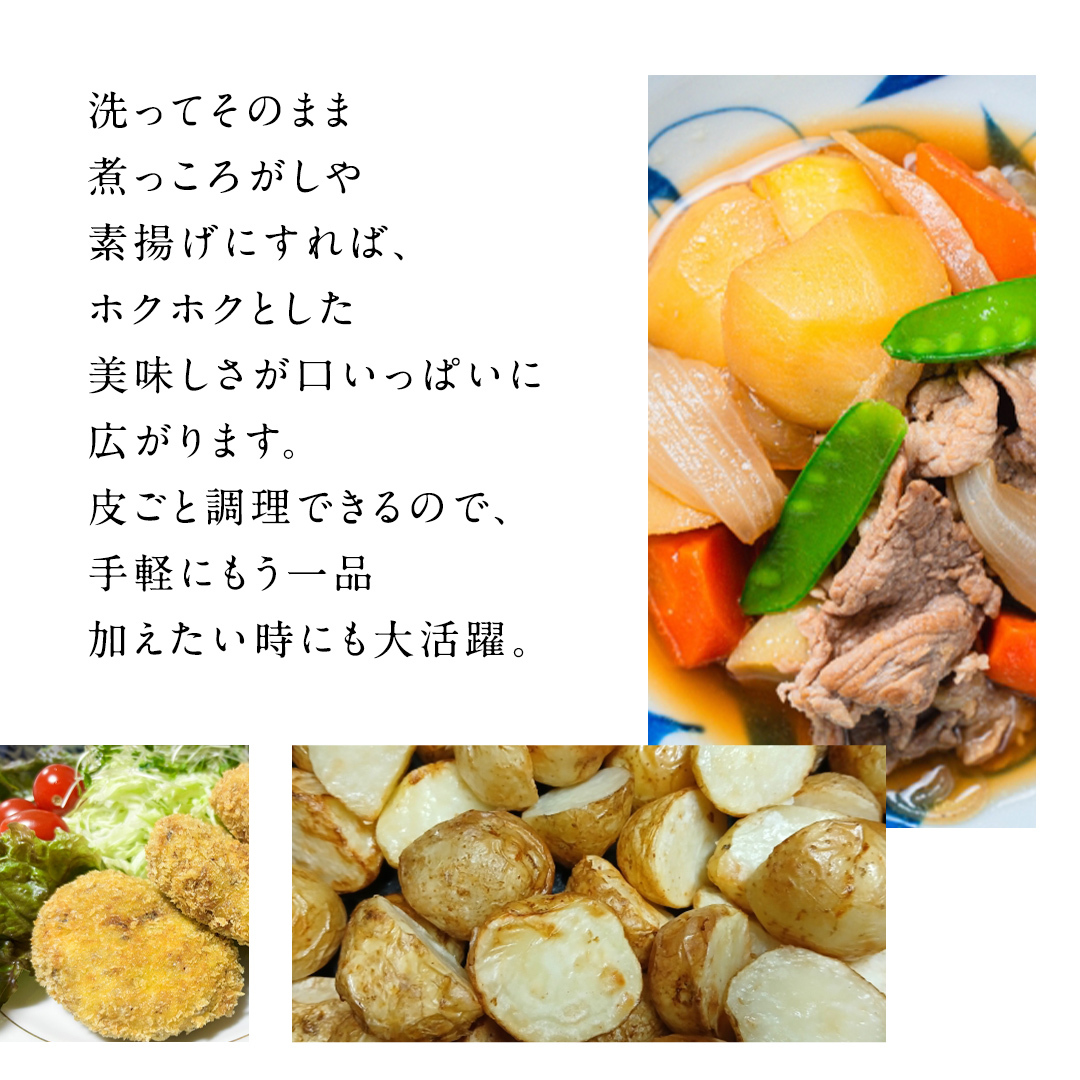 【訳あり】ミニ ジャガイモ ( キタアカリ )  5kg 田んぼで作ったころころジャガイモ 新じゃが じゃがいも 芋 大容量 家庭用 小粒 野菜 根菜 産地直送 新鮮 6000円 [BK49-NT]_