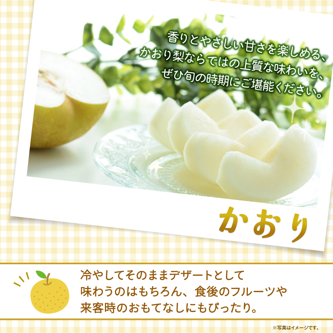 かおり 約5kg 【2026年9月より発送開始】（茨城県共通返礼品 [梨]：大子町産） 高糖度 ギフト 贈り物 プレゼント フルーツ なし ナシ 和梨  梨 果実 旬のフルーツ お取り寄せ くだもの 