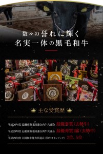 数々の誉れに輝く最高峰 黒毛和牛「平井牛」A5 焼肉用 赤身 250g 京都 丹波牧場 自家産≪ウチヒラ・マル・イチボ・ランプ・ウチモモ・シンタマ 希少 和牛 京都肉 冷凍 真空 BBQ キャンプ≫