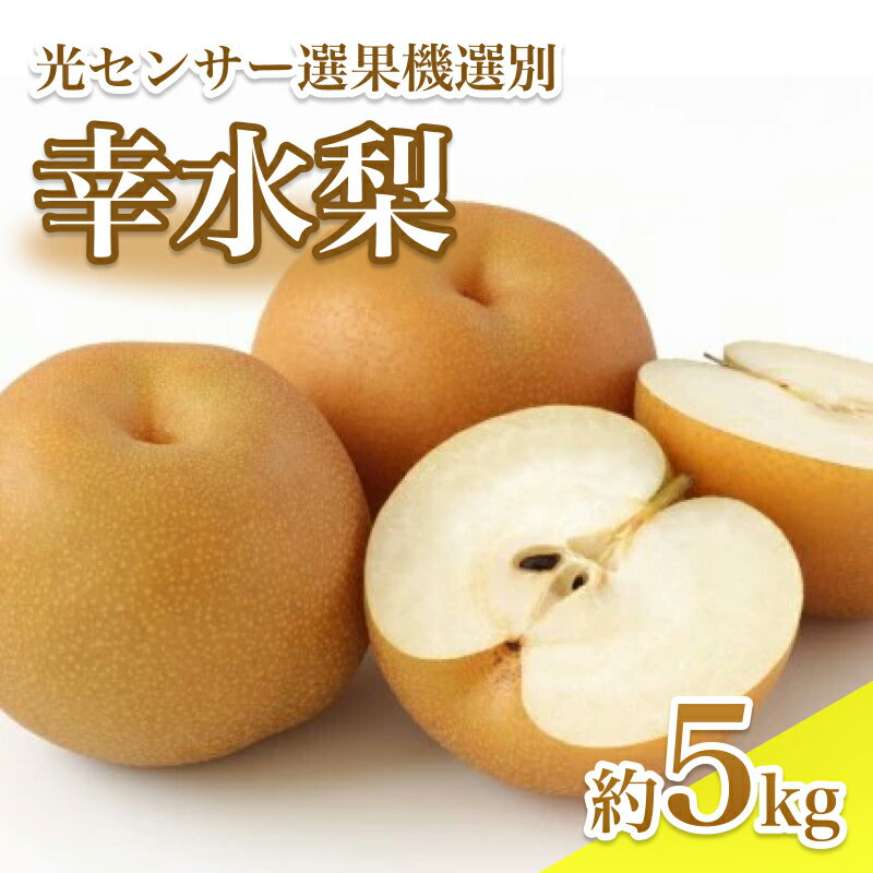【ふるさと納税】【8月中旬より発送予定】南信州産　幸水梨　約5kg　光センサー選果機選別　旬の甘い完熟梨 | 果物 くだもの フルーツ 幸水梨 梨 なし ナシ 新鮮 長野県 信州 南信州 飯田市 BI02