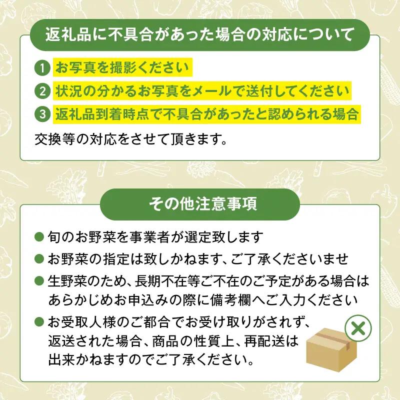 【12回定期便】日時指定OK！本日のお野菜セット （小サイズ/約8～10種） / 野菜 有機栽培 産地直送 新鮮 旬 詰め合わせ きのこ類 やさい 送料無料 【オーガニックのまち 宮崎県綾町】_A00