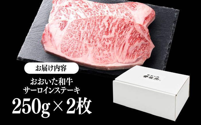 おおいた和牛 サーロインステーキ 500g (250g×2枚) 日田市 / 株式会社OTOGINO [AREF128]