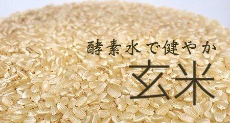 ＼令和5年産／和の米　「酵素米」　玄米5kg