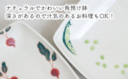 【波佐見焼】フレッシュアート 角預け 鉢 2柄セット (ビーン・ラディッシュ)[OAQ049]