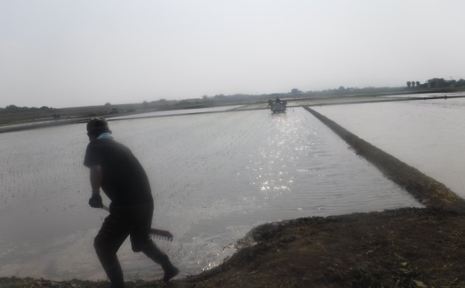 お米5kgと季節のお野菜セット