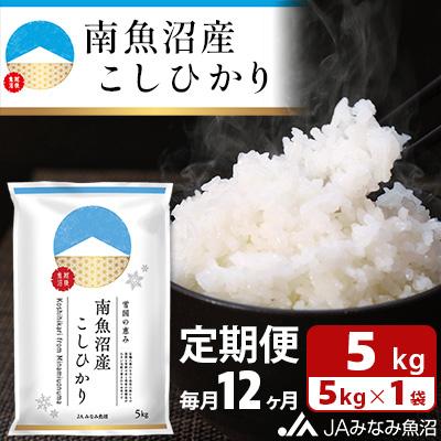 ふるさと納税 南魚沼市 【毎月定期便】南魚沼産こしひかり 精米 5kg 全12回