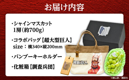【先行予約】 進撃のシャインマスカット 1房 約700g ハンドバッグ付（超大型巨人）日田市 / 松岡果樹園[AREJ002]