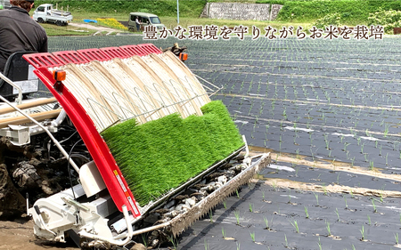 有機JAS認証米 有機於保地米 つや姫10kg（5kg×2袋）