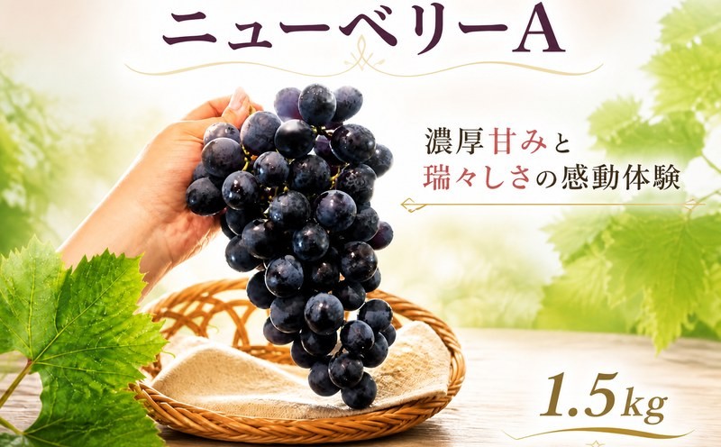 
                  【2027年8月下旬から発送】【先行予約】ニューベリーA 1.5kg 冷蔵 ぶどう 巨峰 フルーツ 福岡県川崎町 竜円農園 先行予約 ぶどう 数量限定 ぶどう
                