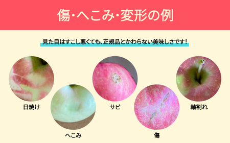 りんご 品種おまかせ 5kg 色むら 傷あり へこみ 変形 昂林 シナノスイート サンふじ ◯秀 無印 2024年産 令和6年産 ※沖縄・離島への配送不可 ja-ri3kx5