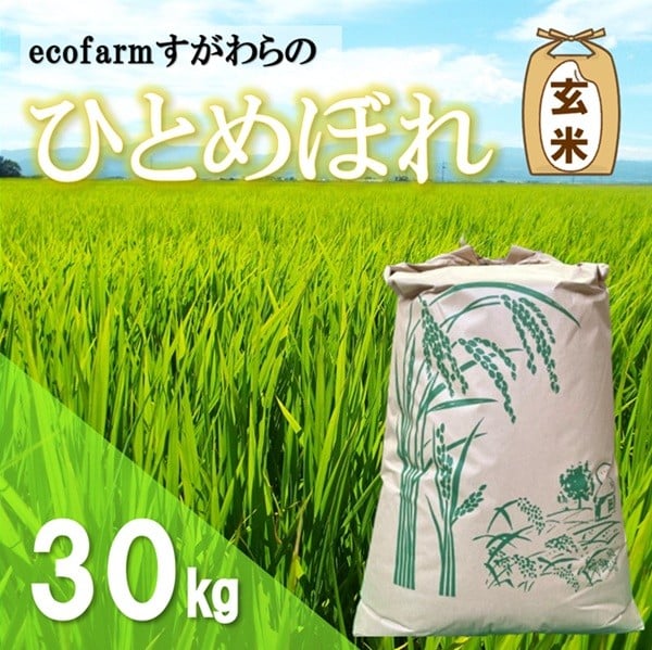 
            【令和7年産・玄米】ecofarmすがわらの庄内米ひとめぼれ30kg
          