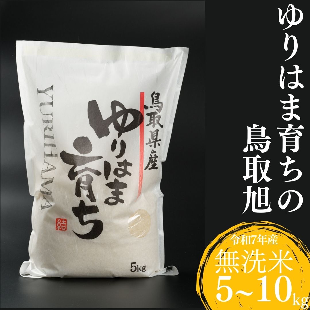 【ふるさと納税】 鳥取旭 お米 無洗米 5kg 10kg 令和7年産 | ゆりはま育ち 銘柄米