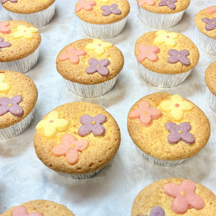 ～さがみはら優しさ便り～12個セット