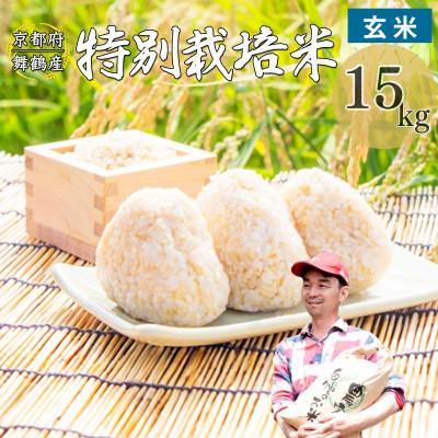 ふるさと納税 舞鶴市 令和8年産 棚田米 玄米 15kg 特別栽培米 7割削減