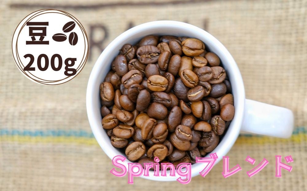 
            Springブレンド（スプリングブレンド）コーヒー【豆】２００ｇ　0166-2503
          