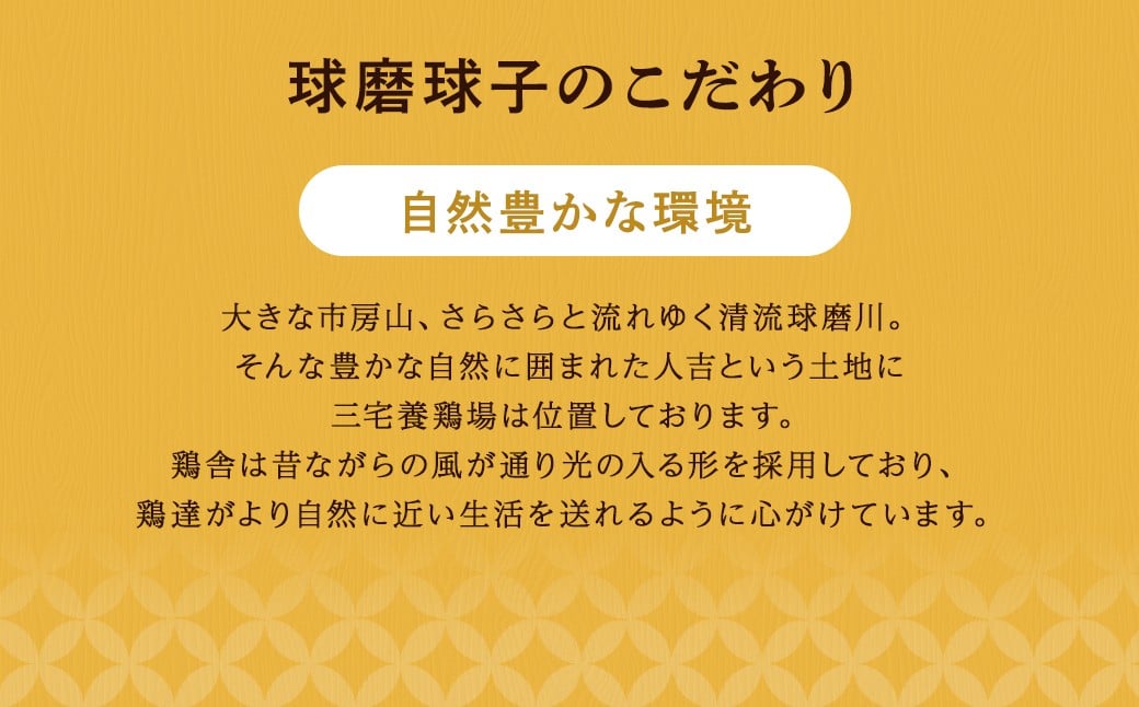 球磨球子 三宅養鶏場