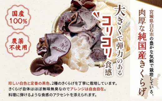 《国産》【木華（もっか）】 生きくらげ300g(100g×3パック)&乾燥きくらげセット(黒)60g（20g×3袋）