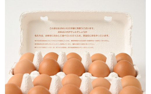 【9ヶ月定期便】料理人も「うまい！」と絶賛 昔の味たまご 20個入り（18個＋割れ補償2個）×9か月| 卵 鶏卵 玉子 たまご 生卵 国産 濃厚 コク 卵かけご飯 旨味 旨み※着日指定不可