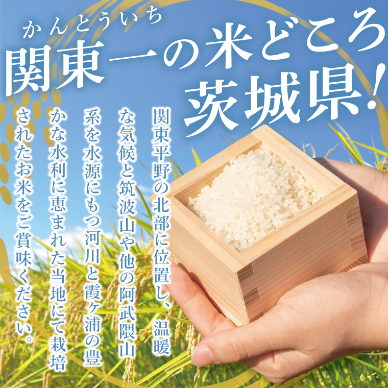 【6ヶ月定期便】茨城県産にじのきらめき　精米　5kg｜精米 定期便 お米 米 こめ コメ ごはん 白米 阿見町 茨城県 茨城県産 茨城県産米 安心 安全 送料無料 国産 人気 数量限定 高評価（85-