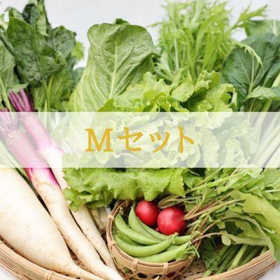 ふるさと納税 佐久穂町 【単発】信州北八ヶ岳からお届け〜のらくら農場の旨み野菜セット〜9種類前後(Mサイズ2〜3人分) |  | 01