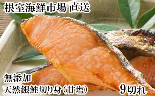 
            G-11075 無添加天然銀鮭切身9切
          