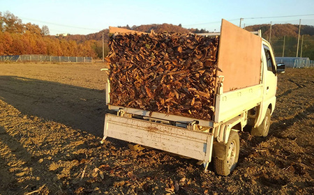 No.590 搾りたて荏胡麻油　2本セット