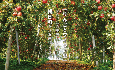 ＜ 先行予約 ＞ りんご 葉取らず ふじ 秀品 約 5kg 13～20玉 【2026年11月下旬から12月下旬発送】 山形県 朝日町産 山形県産 果物 フルーツ リンゴ 林檎 秋 冬