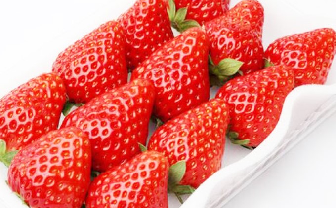 あまおう 生まれも育ちも福岡県 イチゴ界の王道！2パック 果物 デザート イチゴ 苺