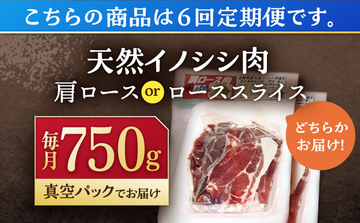 【6回定期便】ジビエ 天然イノシシ肉 肩ロース ＆ ロース スライス750g【照本食肉加工所】 [OAJ056]