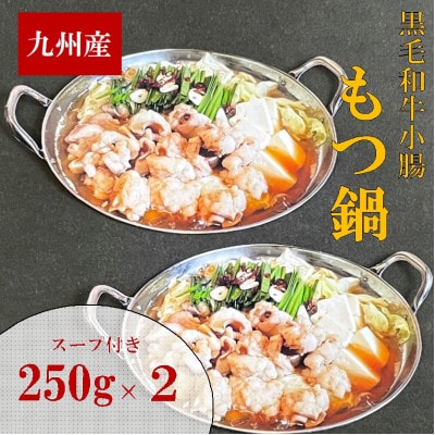 【500g】九州産ぷりぷりの小腸「割烹　もつ鍋セット」(250g×2セット)(岡垣町)【配送不可地域：離島】【1301453】