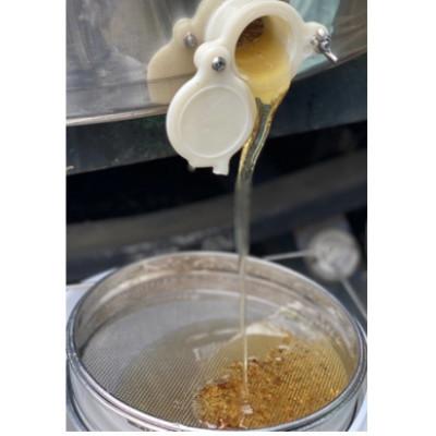 ふるさと納税 那珂川市 100% 純粋はちみつ(百花蜜)3種セット |  | 01