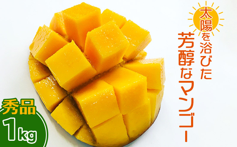 
【2024年発送】沖縄の太陽を浴びた芳醇なマンゴー 1kg（秀品）
